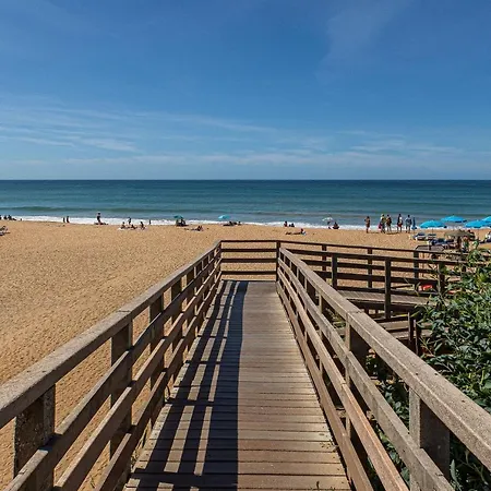 Yangmar By Alzira 阿尔布费拉