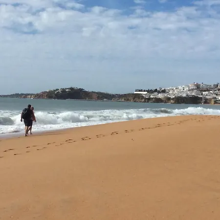 Yangmar By Alzira 阿尔布费拉