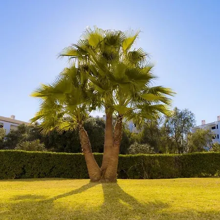 Yangmar By Alzira Appartement Albufeira