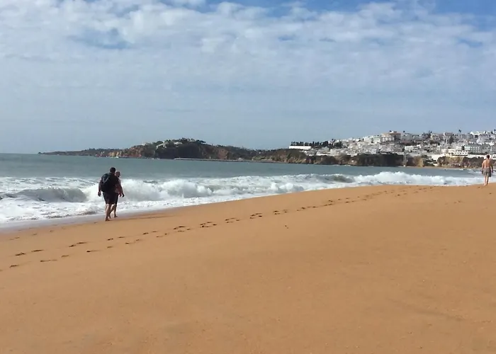 Yangmar By Alzira 阿尔布费拉