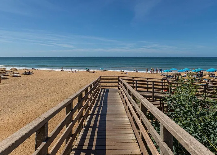 Yangmar By Alzira アルブフェイラ