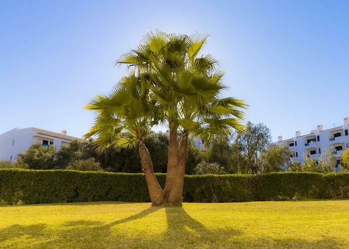 Apartment Yangmar By Alzira *